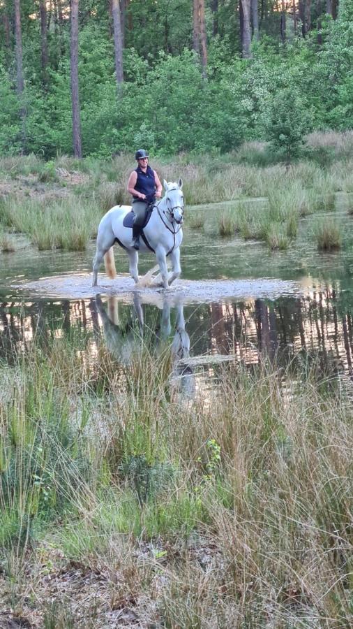B&B Crijbohoeve Zutendaal Dış mekan fotoğraf